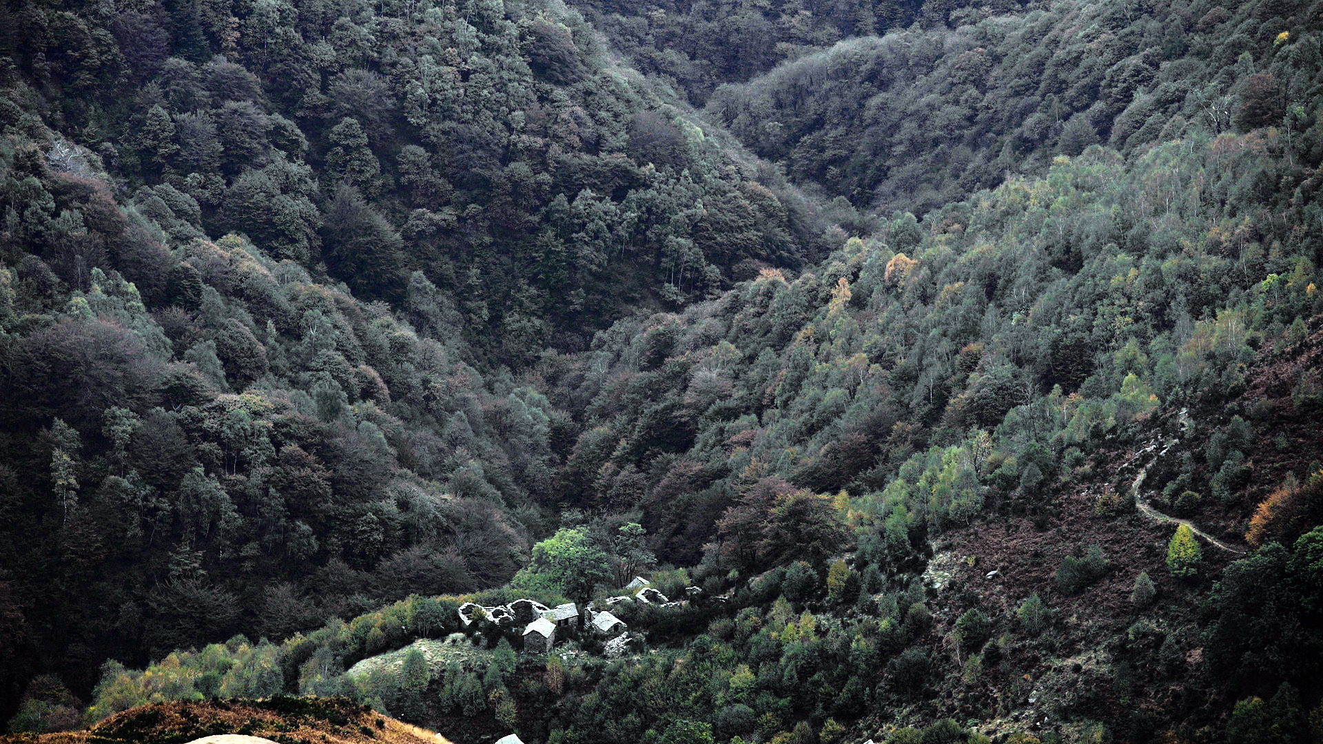 Film-Still