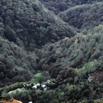 di_still_04.jpg
